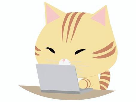 PCを操作するちゃとら猫 ノートパソコン,猫,ちゃとら,動物,かわいい,pcのイラスト素材