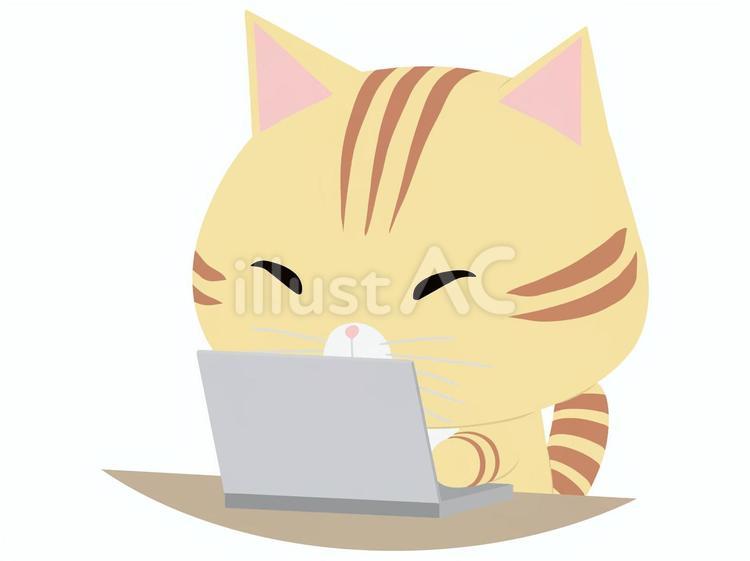 PCを操作するちゃとら猫 ノートパソコン,猫,ちゃとらのイラスト素材