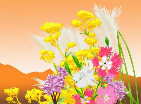 秋の七草 七草,秋,ハガキ,花,夕日のイラスト素材
