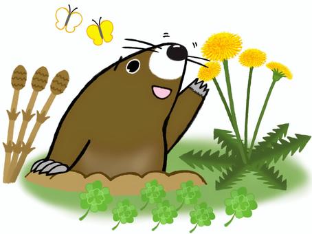 Spring mole _ Jingzhe _ Can you eat it?, JPG and PNG Spring mole _ Jingzhe _ Can you eat it?, a mole, dragon, early spring, JPG and PNG