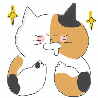 よだれをたらす三毛猫ちゃん 三毛猫,かわいい,よだれ,好物,好き,大好き,欲しい,食べたい,キラキラ,期待のイラスト素材