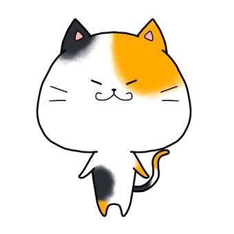 Calico cat, cat, san mao cat, animal, JPG and PNG