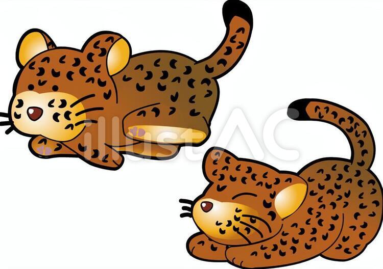 走るヒョウ ヒョウ,のび,走るのイラスト素材
