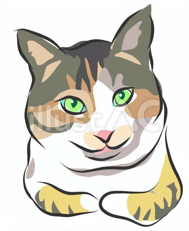 ネコ２４ ネコ,動物,かわいいのイラスト素材