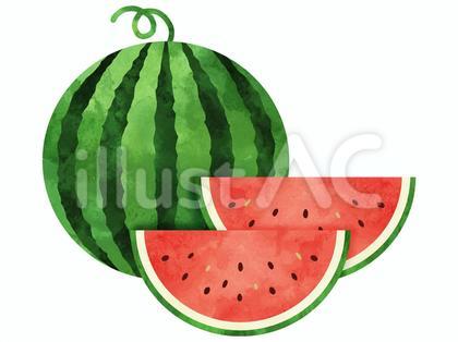 スイカの水彩イラスト 大玉とくし切り