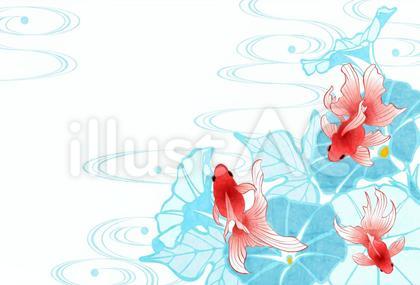 SummerCard24152