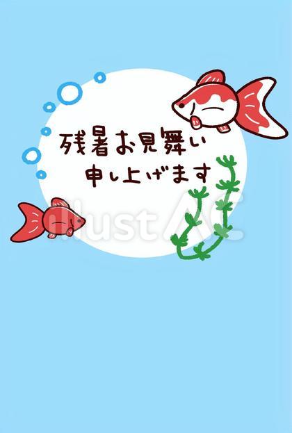 残暑見舞い かわいい金魚 はがき