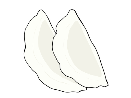 生餃子 餃子,食べ物,生,冷凍,中華,おかず,点心,主線あり,イラスト素材,広告のイラスト素材
