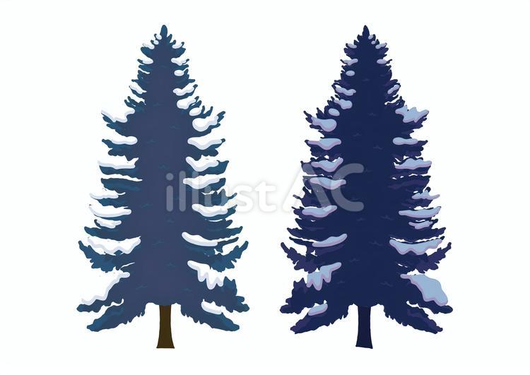 もみの木のイラスト もみの木,植物,クリスマスのイラスト素材