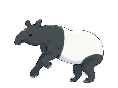 マレーバク（駆ける） マレーバク,動物,白,黒,ツートンカラー,駆けるのイラスト素材
