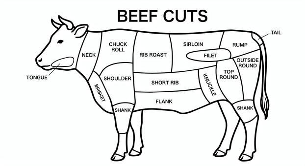 牛肉部位一覧　英語表記　イラスト 牛肉,部位,部位図,牛,うし,ビーフ,部位一覧,肉,精肉,焼肉のイラスト素材