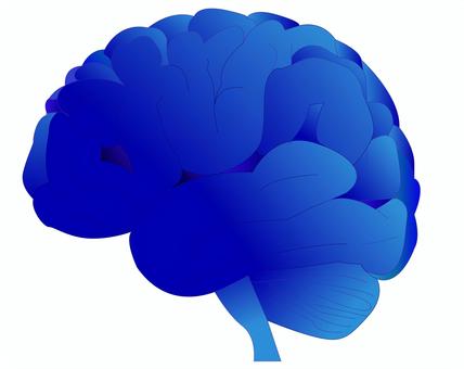 大脳,脳科学,人工知能のサイバーイメージ 大脳,脳科学,人工知能のサイバーイメージ 脳,大脳,シルエット,人工知能,サイバーイメージ,青,ai,知識,脳科学,人体のイラスト素材