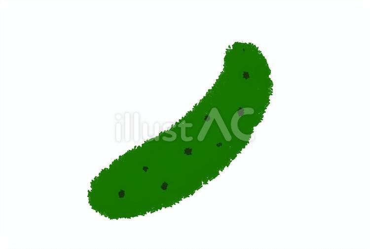 手描きのきゅうり きゅうり,野菜,手描きのイラスト素材