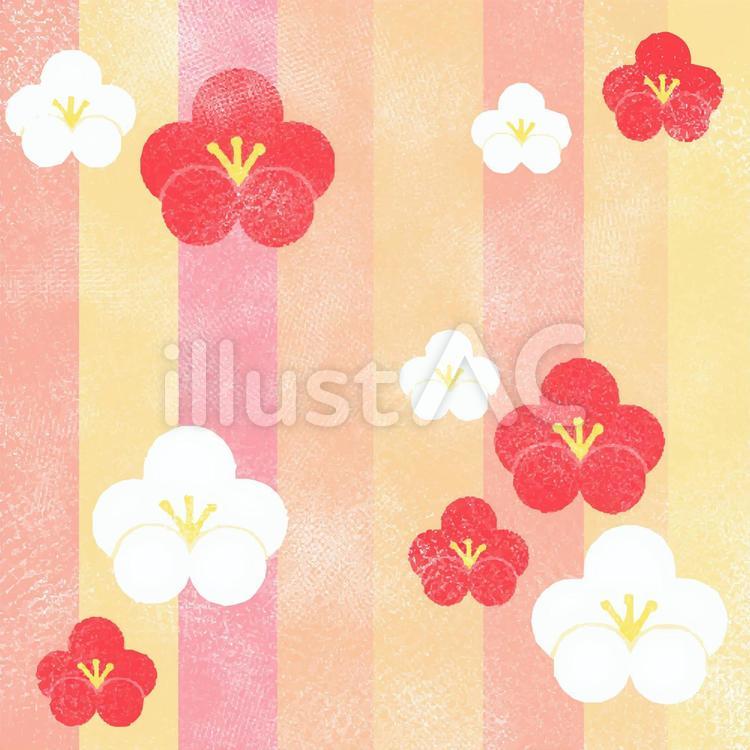 梅の花の背景 花,植物,春のイラスト素材