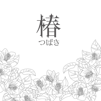 線画の花＜椿背景＞ 椿,ヤブツバキ,ヤマツバキ,シンプル,フラワーアレンジ,花,植物,木,冬,ナチュラルのイラスト素材
