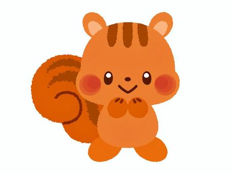 ぷくぷくほっぺがかわいい手描きのリス リス,かわいい,手描き,キャラクター,笑顔,ほっぺ,しっぽ,こども向け,動物,生き物のイラスト素材