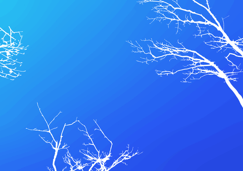 枯れ枝の描写_24_寒そうな空と木々 冬,枯れ木,枝,樹木,木,シルエット,12月,1月,2月,森林のイラスト素材