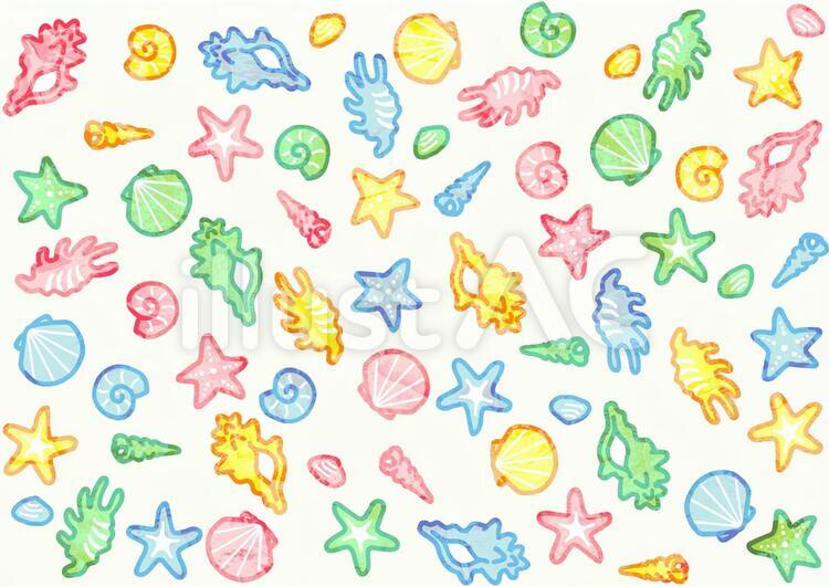 貝殻水彩風背景 貝殻,かわいい,水彩のイラスト素材
