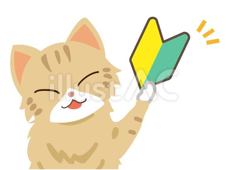 初心者マークを持つ猫２（アップ）主線なし 初心者マーク,初心者,猫のイラスト素材