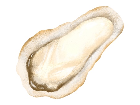 殻付きの生牡蠣 牡蠣,生牡蠣,海鮮,魚介,海産物,貝,貝類,食べ物,食材,冬のイラスト素材