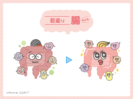 腸の若返り_2 腸,小腸,大腸,善玉菌,悪玉菌,美容,腸活,腸内環境,内臓,健康のイラスト素材