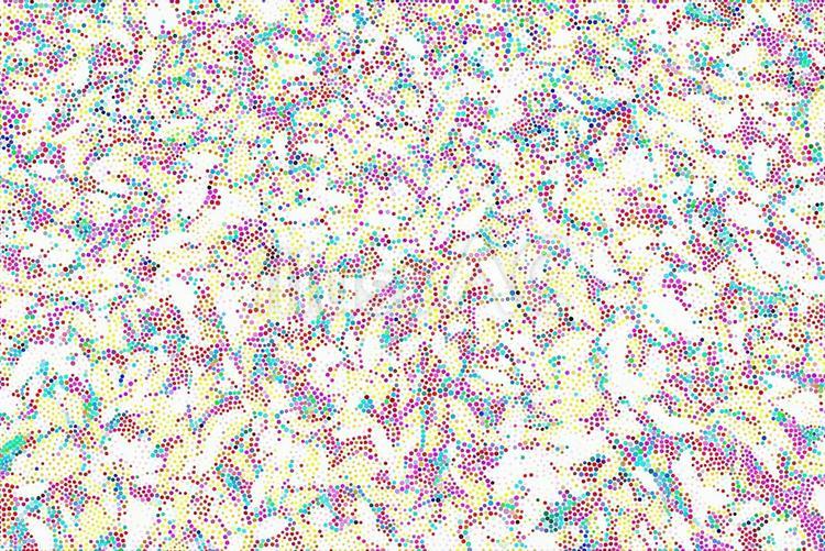 木の葉 枯葉,テクスチャー,葉のイラスト素材