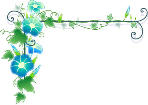 Pergola's morning glory, JPG Pergola's morning glory, , JPG