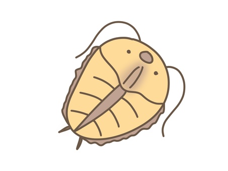 ゆるかわ三葉虫 三葉虫,古生物,海洋生物,カンブリア紀,生物のイラスト素材