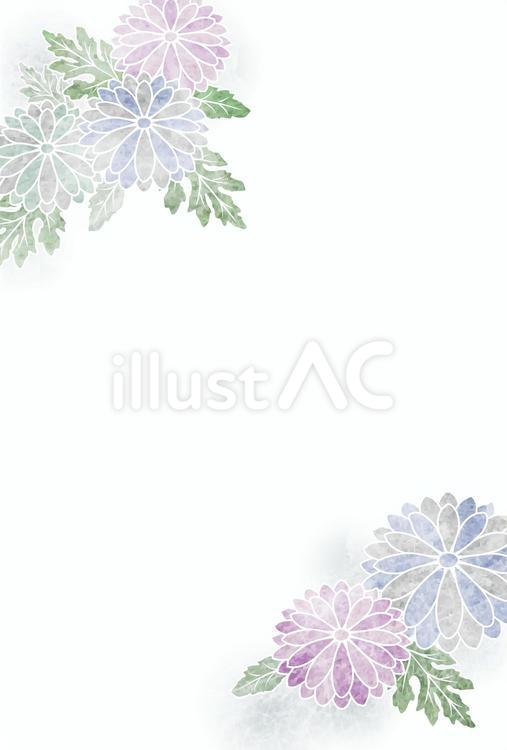 GreetingCard250812 菊,葉,花のイラスト素材