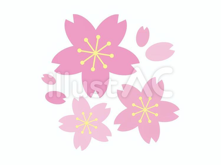 桜 桜,花,春のイラスト素材