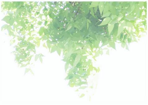 Fresh green background, JPG and AI Fresh green background, background, summer, fresh green, JPG and AI