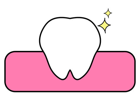キラキラ付きの歯と歯茎 歯,奥歯,臼歯,乳歯,永久歯,歯医者,白い歯,キラキラ,黄色,輝きのイラスト素材