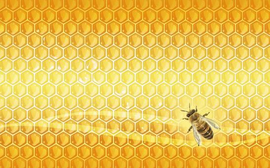 A bee, background, wallpaper, bee, JPG and PNG