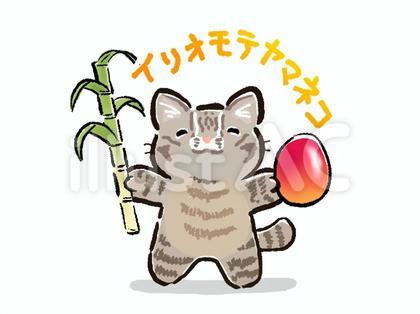 イリオモテヤマネコ