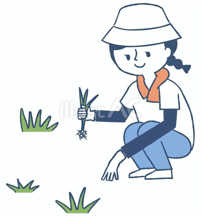 草むしり 女性イラスト - No: 26665849｜無料イラスト・フリー素材なら「イラストAC」