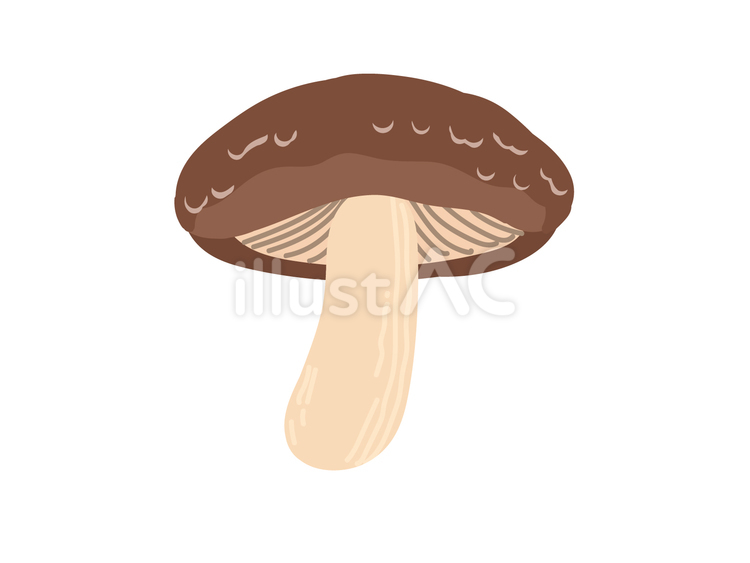 しいたけのイラスト 椎茸,イラスト,きのこのイラスト素材