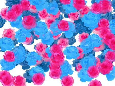 Blue rose Red rose, rose, flower, blue, JPG and PNG