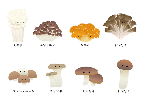 食用きのこ きのこ,えのき,ぶなしめじ,なめこ,舞茸,マッシュルーム,エリンギ,しいたけ,松茸のイラスト素材