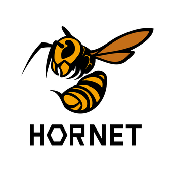 ホーネットロゴマーク-4 ホーネット,スズメバチ,生き物,毒,虫,羽,針,ロゴ,マーク,シンボルのイラスト素材