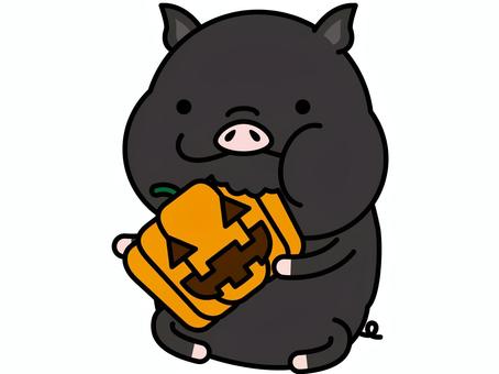 Illustration, black pig, pig, halloween, 