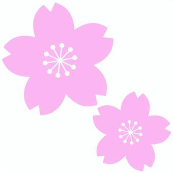 【桜の花】2