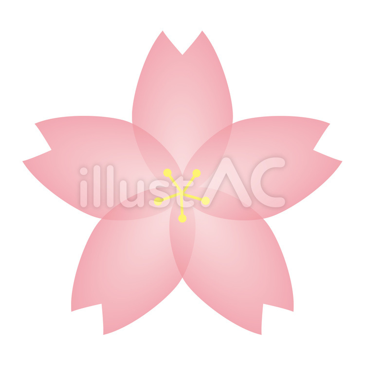 sakura_flower さくら,花,花びらのイラスト素材
