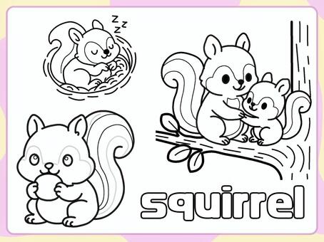 リス　０１　ぬりえ ぬりえ,かわいい,リス,動物,趣味のイラスト素材