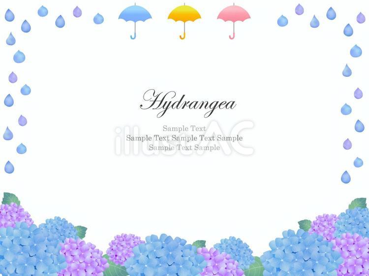 梅雨、あじさいのフレーム、背景04 あじさい,梅雨,傘のイラスト素材