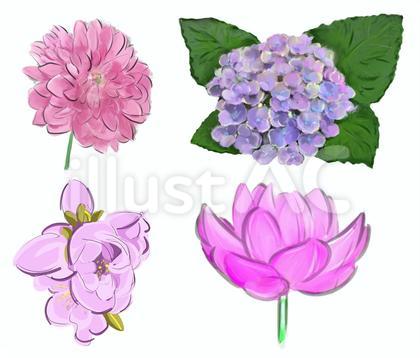 ピンク花セット