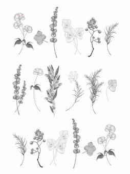 グレートーンのボタニカルな壁紙 グレートーンのボタニカルな壁紙 ボタニカル,植物,壁紙,グレー,モノトーン,白黒,可愛い,おしゃれ,シンプル,花のイラスト素材