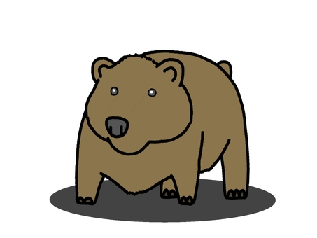 クマ クマ,猛獣,哺乳類,動物,危険,毛むくじゃらのイラスト素材