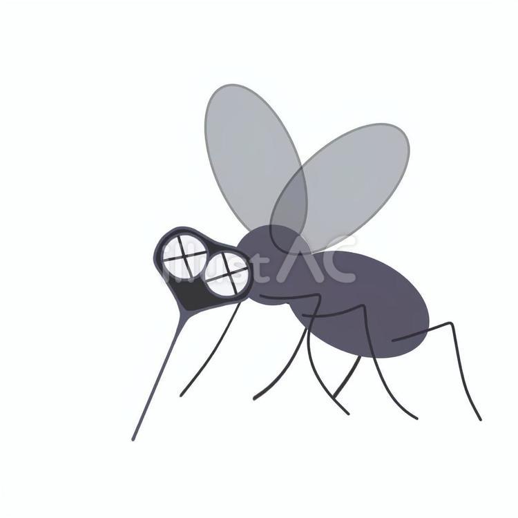 蚊　目がバツ 蚊,虫,害虫のイラスト素材