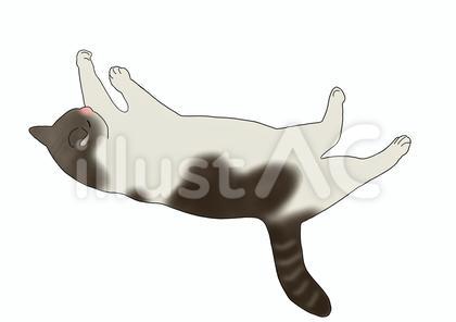 寝転ぶ猫