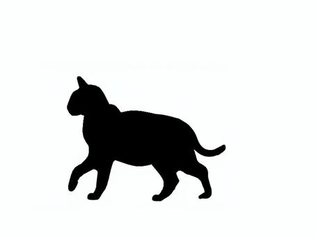 猫。。 猫,シルエット,動物,背景透過,黒猫,イラスト,素材,透過png,アイコン,ペットのイラスト素材